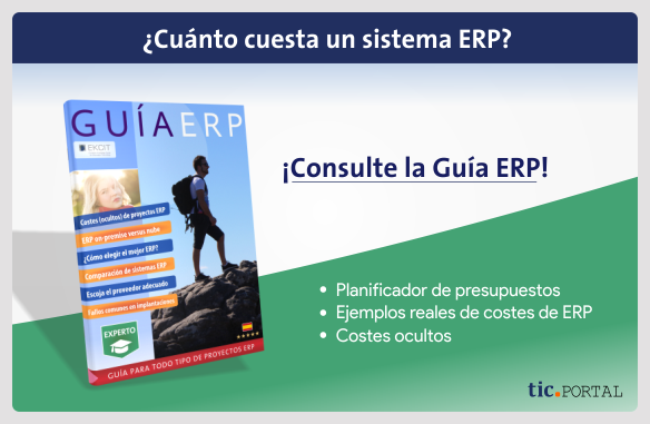 Guía ERP