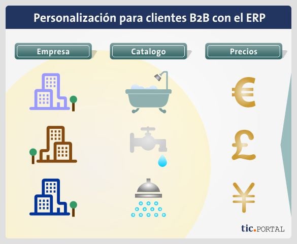 personalizacion cliente b2b ecommerce erp