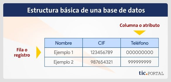 Base de datos: ¿qué tipos hay y cómo funciona conectada a un software?