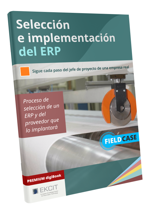 seleccion implementacion erp