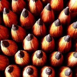 Procurement management