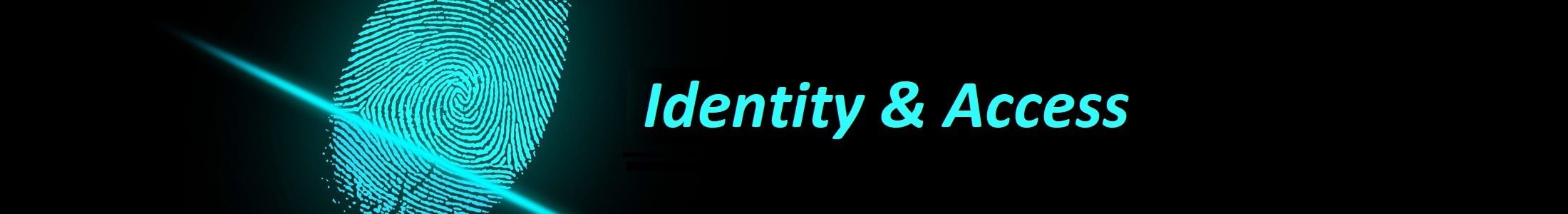 gestion identidad acceso