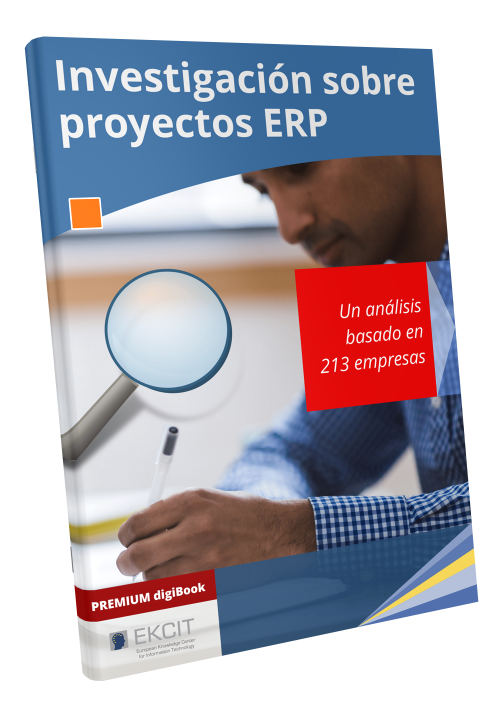 investigacion proyectos erp