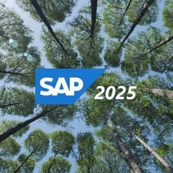 sap 2025 r/3 ecc hana