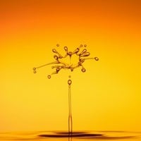 sap erp
